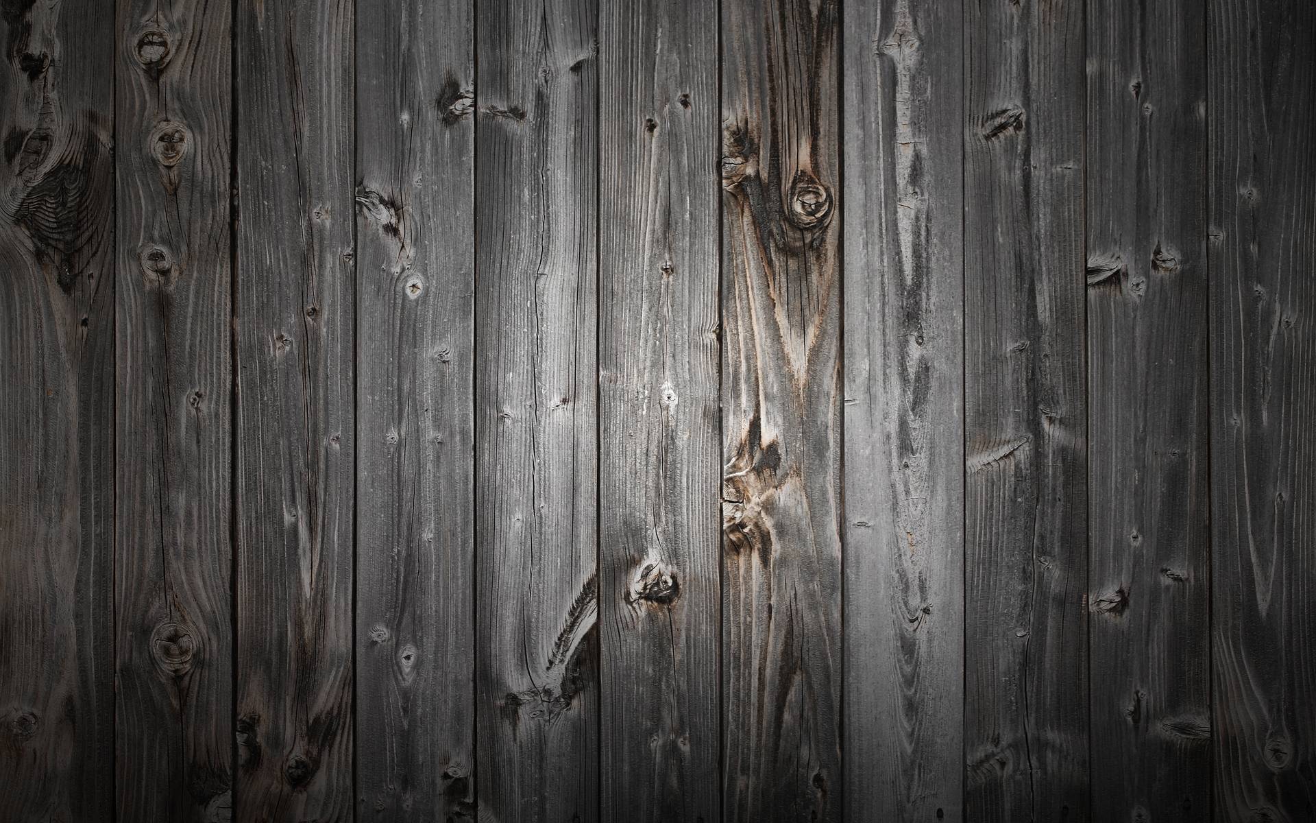 lorem-ipsum